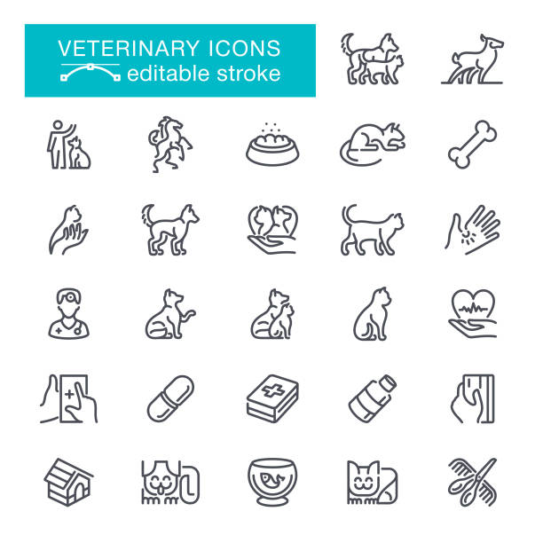 Veterinary Editable Stroke Icons Pets, Animal, Fish, Puppy, Medical Equipment, Editable Stroke Icon Set insurance pets dog doctor stock illustrations