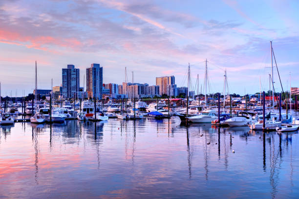 istock Stamford Connecticut Harbor and Skyline 905580446