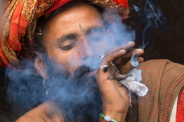 hindu indiano sadhu fumar ganja - ermita - fotografias e filmes do acervo