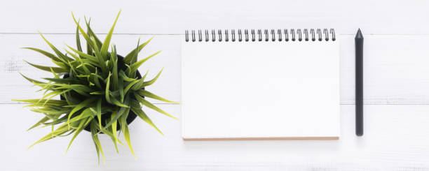 istock Minimal work space - Creative flat lay photo of workspace desk. White office desk wooden table background with open mock up notebooks and pens and plant. Top view with copy space, flat lay photography 905595366