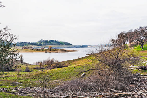 This view from Folsom Point looking at the shoreline exposed with driftwood everywhere and the new Dam on the far side of the Folsom lake.