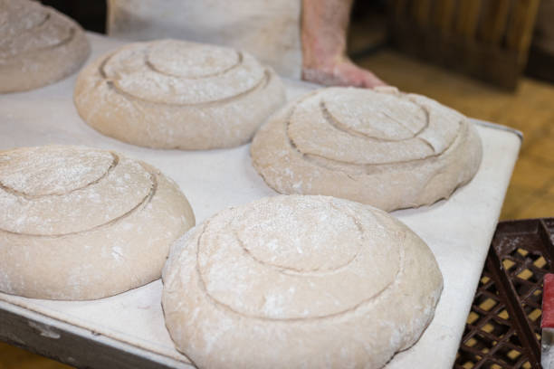 istock preparation of baked goods 905600498