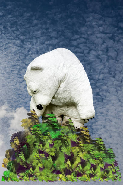 orso polare su un'isola volante - cold spring foto e immagini stock