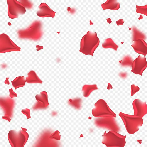 Vector illustration of Flying rose petals background.