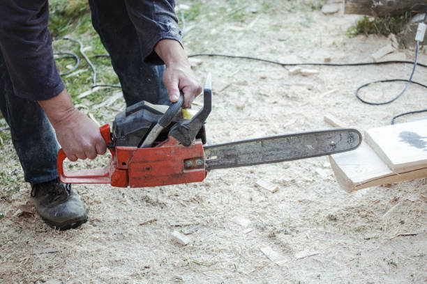 istock DIY - woodhouse repairing; 905616012