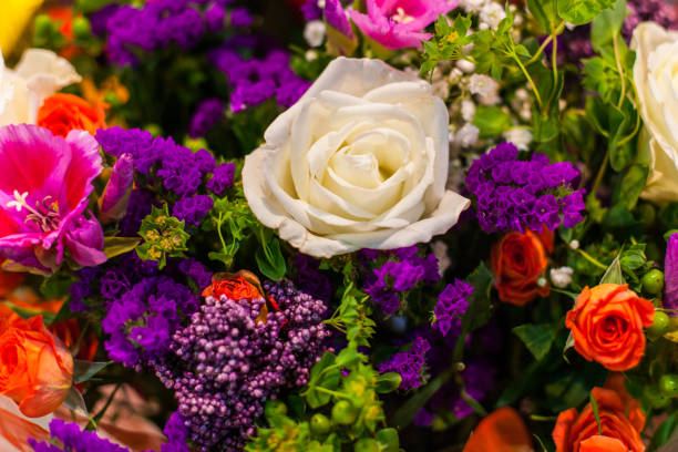 istock White rose among the flowers. 905616250