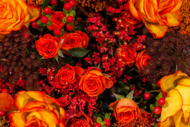 istock Purple flowers close up. 905616360