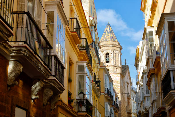 istock Historic district of Cadiz, Andaluse, Spain 905622548