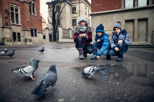 Three kids are visiting Cracow (Kraków) Poland. Kids are couching in the street and feeding pigeons.