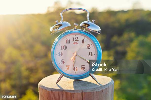 Vintage Blue Alarm Clock On Summer Forest Background Stock Photo - Download Image Now