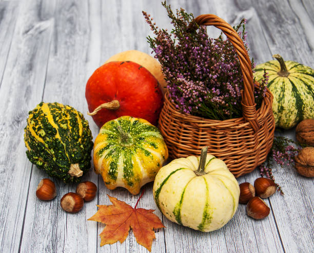 istock Pumpkins with autumn leaves 905623538