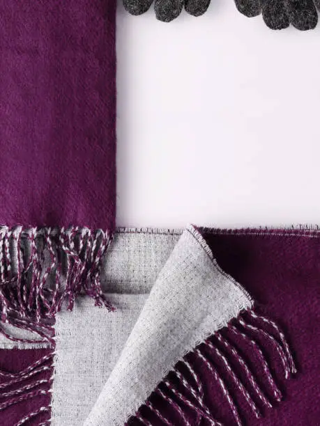 Violet winter scarf divided square vertical background with empty space for copy