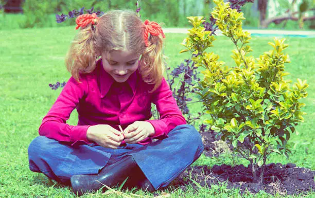 Vintage image from the seventies of a girl sitting outdoors beside a just planted tree.