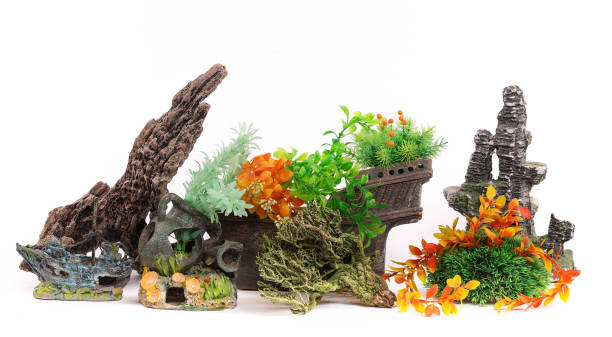 istock decorations for an aquarium,white isolated background 905663460
