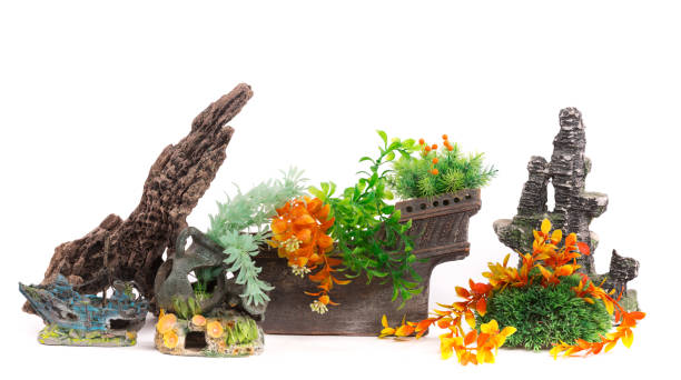 istock decorations for an aquarium,white isolated background 905663468