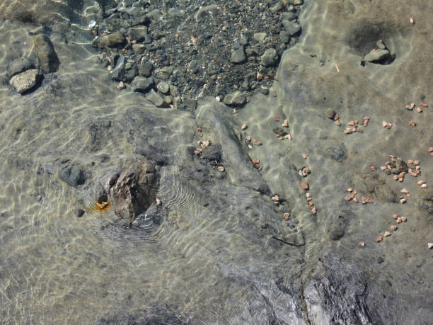 istock Rocky seabed through transparent sea water . Crystal clear waters background 905663802