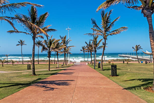 istock Palm Tree Lined Walkway Heading Toward  Blue Coastal Skyline 905667592