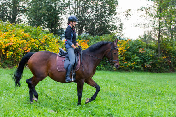 istock Young girl Horseback riding 905674824