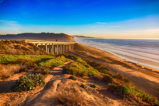 istock Pacific Coast Highway 101 in Del Mar 905675134