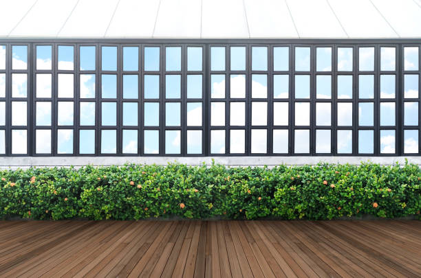 istock Tropical green leaf wall and window frame with clipping path. 905675634