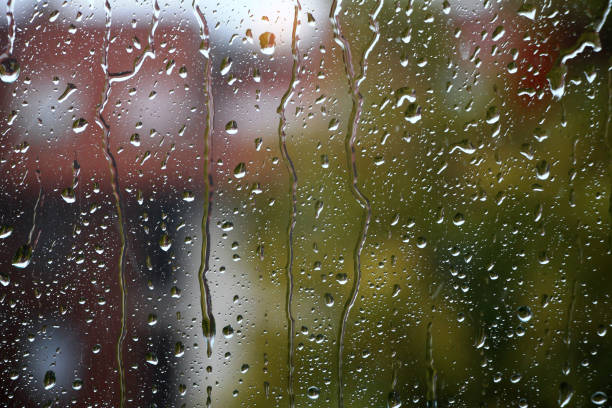 istock Rain drops on window glass with green in background 905681752