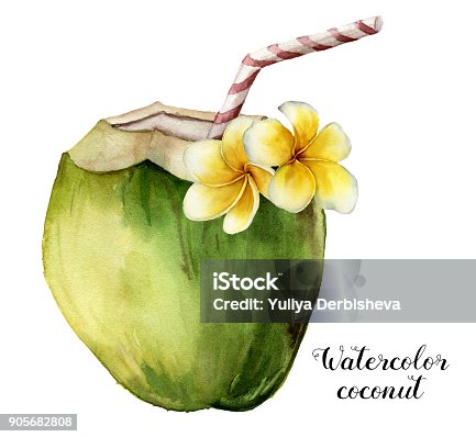 istock Watercolor coconut with plumeria flowers. Hand painted exotic drink with striped tube and floral decor isolated on white background. Tropical cocktail with a straw. Food illustration for design 905682808