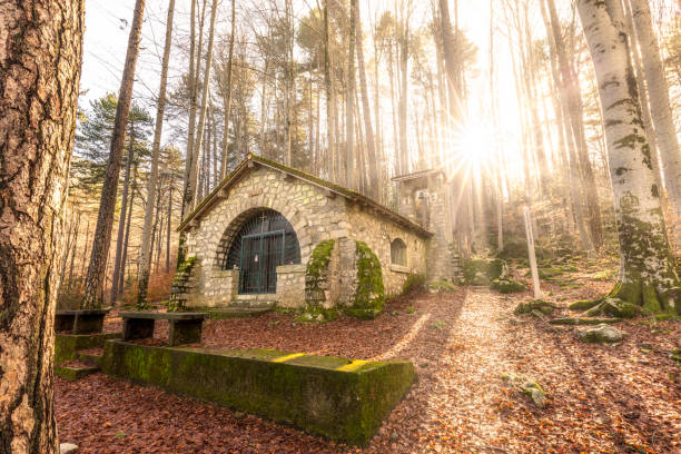 Afternoon sun filtering through trees onto the Chapelle Notre Dame de la ForÃªt in the woods at Vizzavona in Corsica