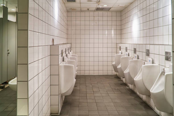 istock Contemporary interior of public toilet 905686526