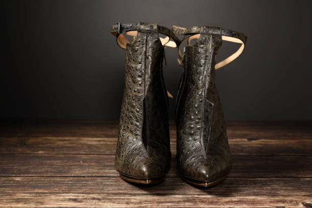istock Luxury design ostrich leather woman shoes 905686798