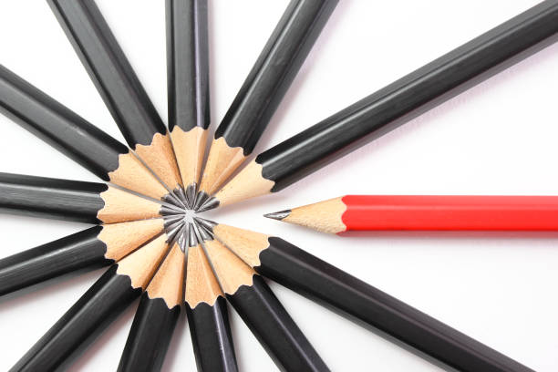 istock Leader, concept of pencils 905687138