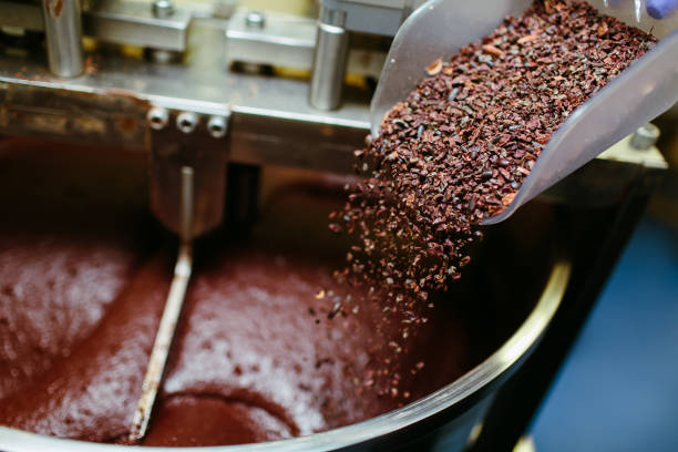 Artisan chocolate making, adding cocoa grits in the Melanger Stone Grinder stock photo
