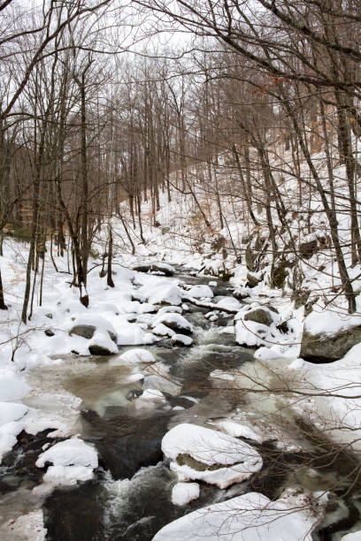 istock Frozen Mountain River at Crabtree Falls State Park in Virginia 905694464