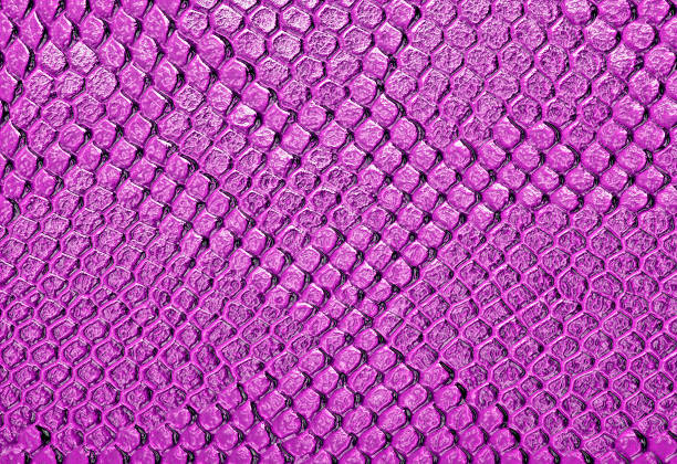 istock Snake skin, can use as background 905694546