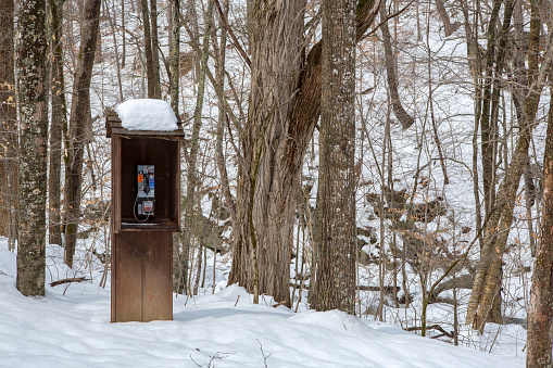 Isolated payphone in the middle of the woods at Crabtree Falls State Park in Virginia. Taken after a snow storm, there is ice and snow in the forrest. There is a small wooden phone booth with a snow covered forest in the background. The kiosk certainly looks out of place, and there is a dollop of snow on top of the cedar shingles, protecting the phone. The trees are bare and makes for a scenic, remote winter nature landscape. - A great shot taken in the outdoors.