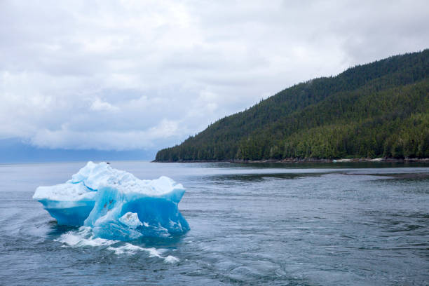 istock Blue Iceberg Floating past Mountain Coastline 905694936