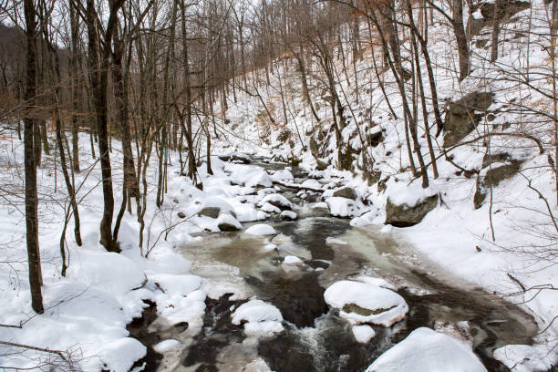 istock Frozen Mountain River at Crabtree Falls State Park in Virginia 905695198