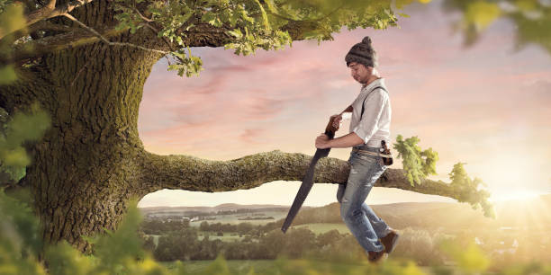 Cutting the branch your sitting on A young man making a mistake by self sabotaging himself. lumberjack stock pictures, royalty-free photos & images