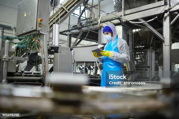 Worker With Tablet Stock Photo - Download Image Now - Food Processing Plant, Food, Digital Tablet