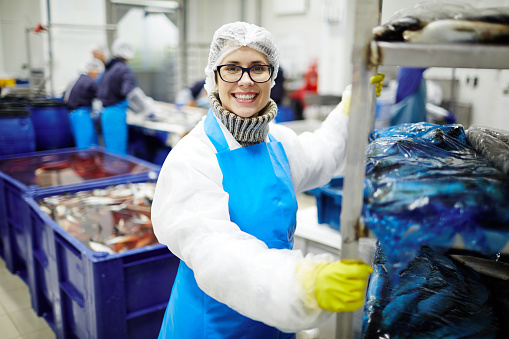 Smiling staff of seafood processing plant pushing huge cart with packed fish