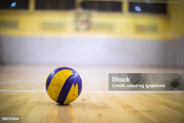 Photo libre de droit de Un Ballon De Volleyball Sur Un Plancher En Bois Salle De Gym banque d'images et plus d'images libres de droit de Volley-ball