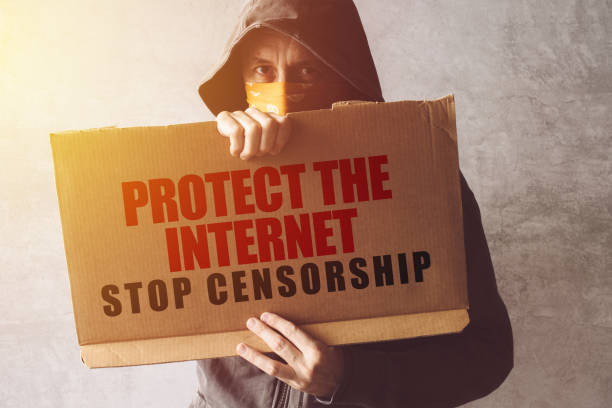 istock Hooded activist protestor holding Protect the Internet 905703604