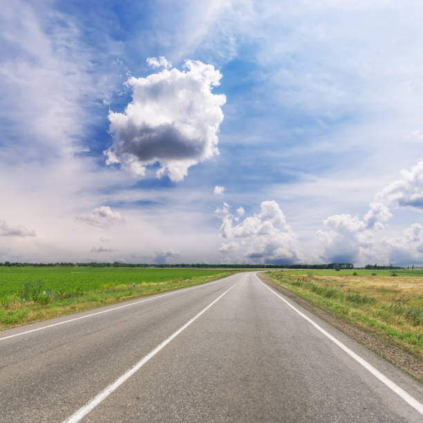 istock asphalt road to horizon in field under low dramatic clouds 905710578