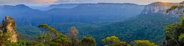 istock Overlooking Jamison Valley in late afternoon - Panorama view 905713220