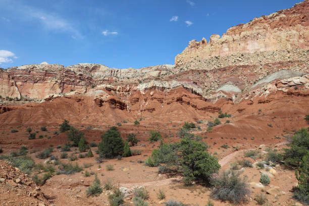 istock Slick Rock Divide in Capitol Reef National Park. Utah. USA 905713754
