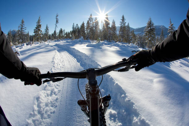 istock Winter Fat Bike Ride 905714046