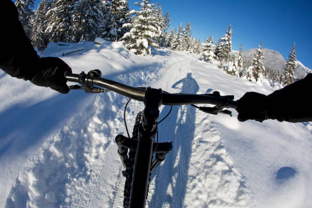 istock Winter Fat Bike Ride 905714150