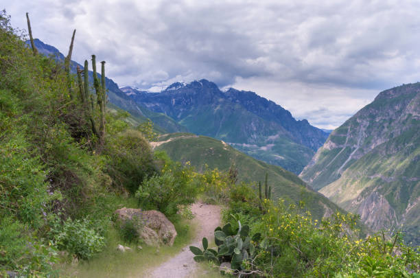 istock View of Canyon Colca, Peru 905714692