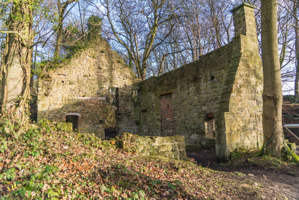 istock Lumsdale Falls in Derbyshire, UK 905718370