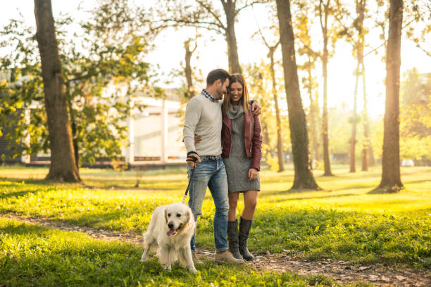 istock Relaxing walk in the park 905718894