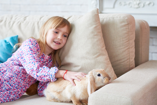 Cheerful pretty girl stroking fluffy rabbit while sitting on sofa and enjoying Easter time at home